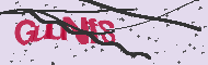 Captcha認証コード